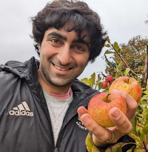 Seedling 82 - a new apple variety