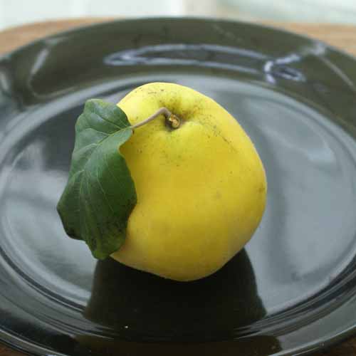 Aromatnaya