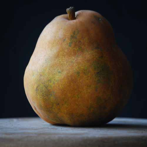 Beurre de l'Assumption