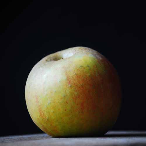 Blenheim Orange