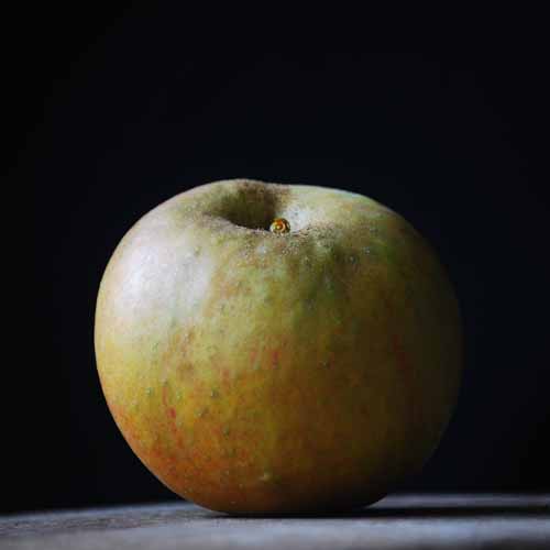 Blenheim Orange