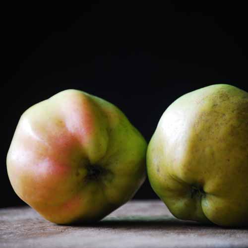 Calville Blanc d'Hiver