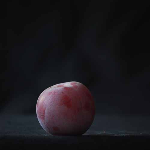 Count Althann's Gage