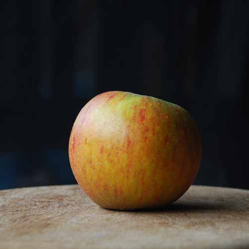 Cox's Orange Pippin