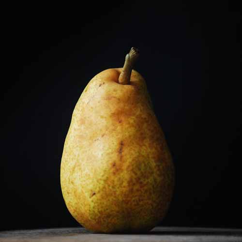 Duchesse d'Angouleme