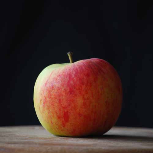 Duchess of Oldenburg