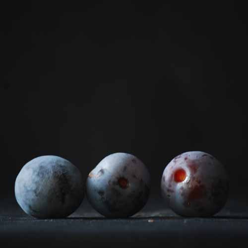 Rivers Early Prolific