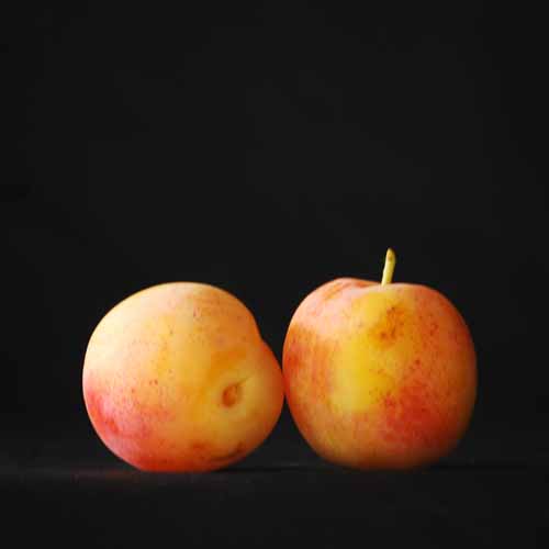 Early Transparent Gage