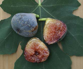 Fig - Violette Dauphine