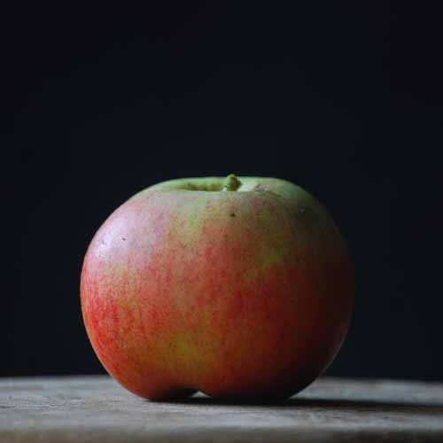 Freiherr von Berlepsch