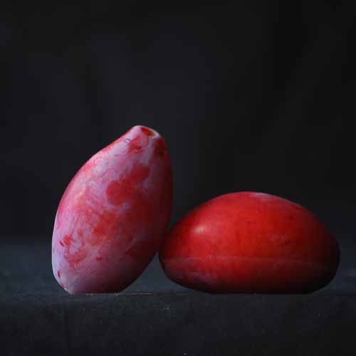 Giant Prune