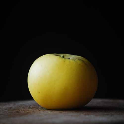 Nuvar® Golden Hills