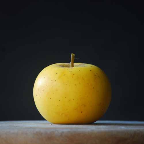 Nuvar® Golden Hills