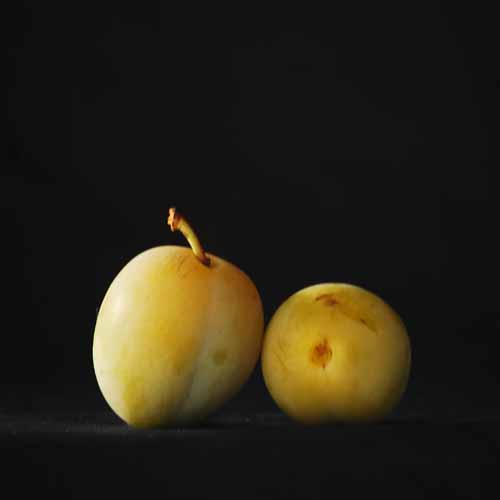 Late Greengage