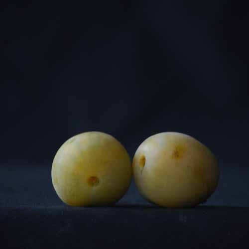 Late Greengage