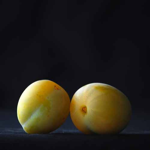 Old Greengage