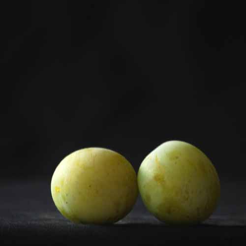 Guthrie's Late Green