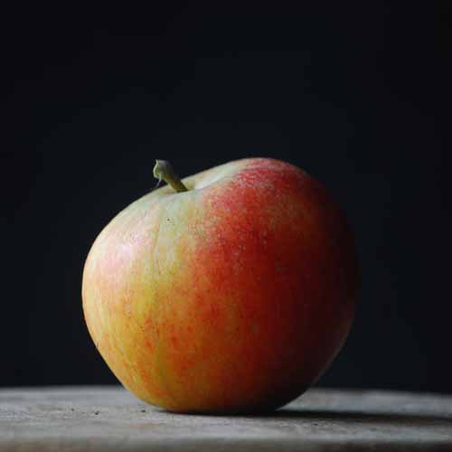 Honey Pippin