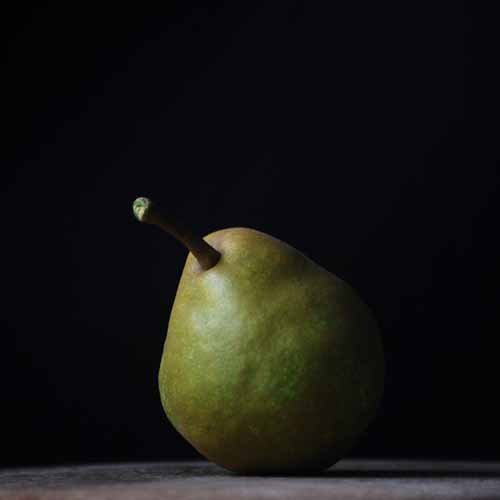 Josephine de Malines