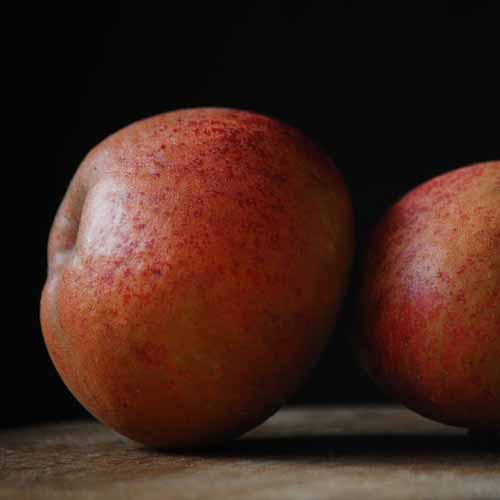 Karmijn de Sonnaville