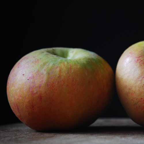 Karmijn de Sonnaville