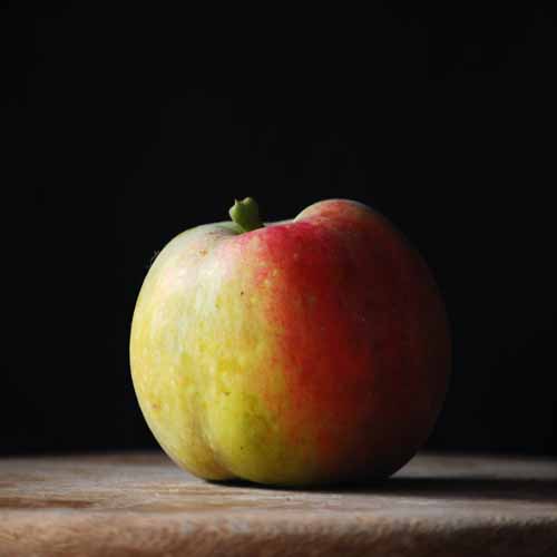 Kentish Pippin (Keepers)