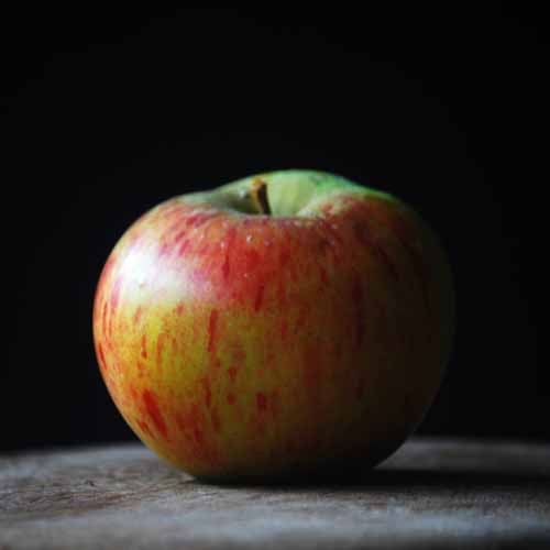 Lane's Prince Albert