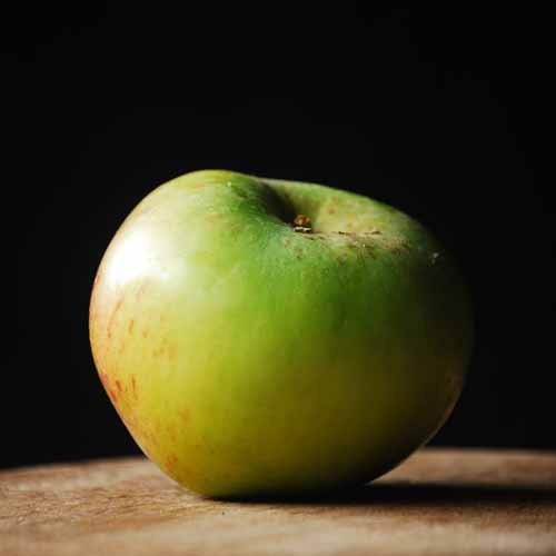 Lane's Prince Albert