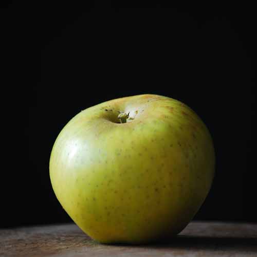 Landsberger Reinette