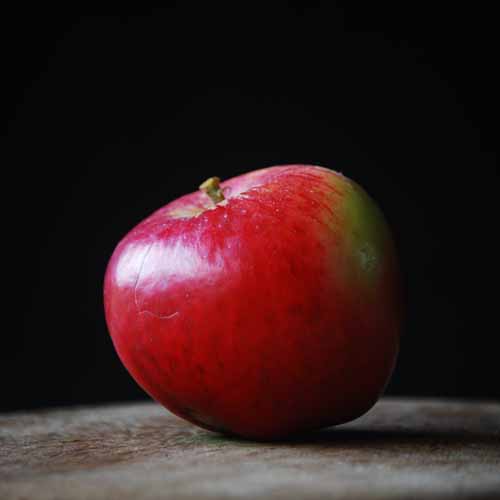 Lewis's Incomparable