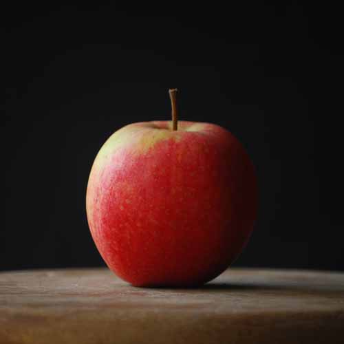 Nuvar® Long Harvest