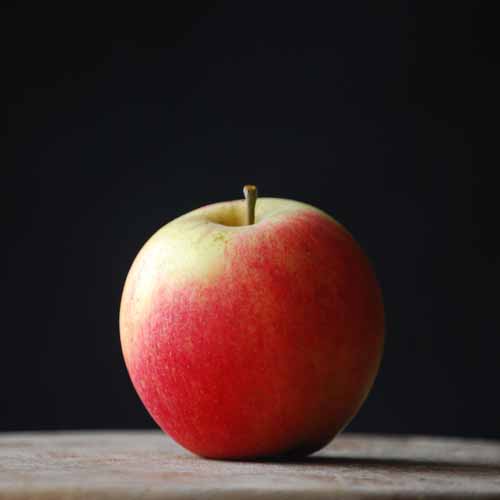 Nuvar® Long Harvest