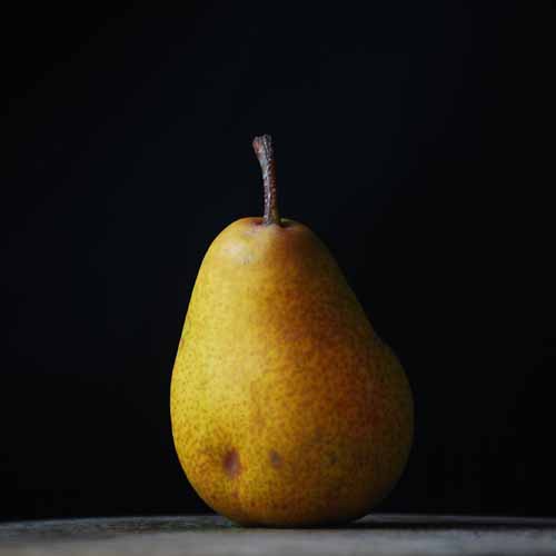 Louise Bonne of Jersey