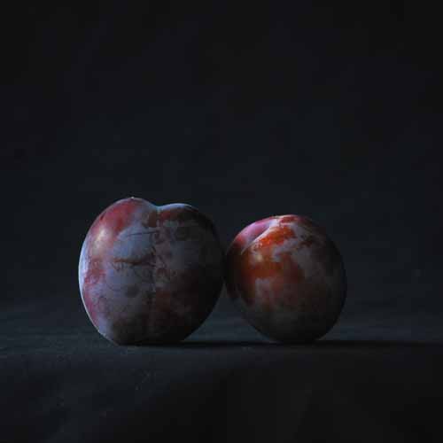 Monarch Plum