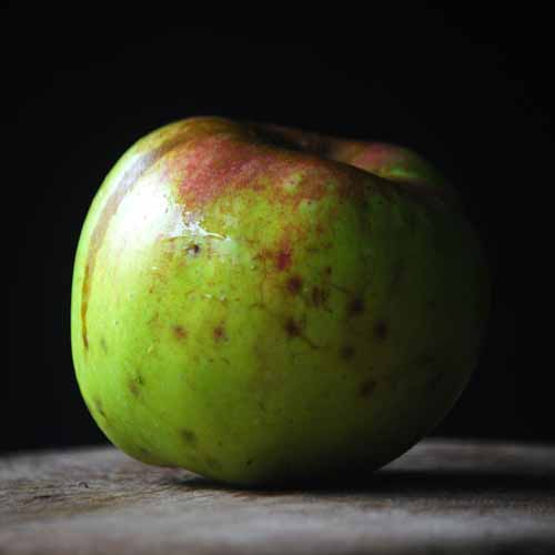 Nemes Szercsika Alma