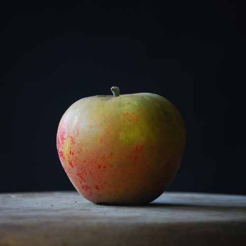 Norfolk Royal Russet