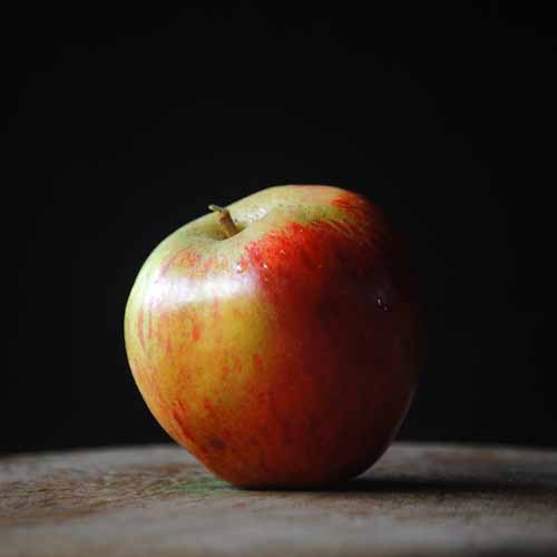 Pickering's Seedling