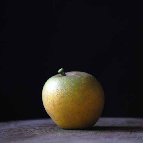 Pitmaston Pine Apple