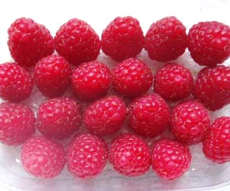 Raspberry - Erika