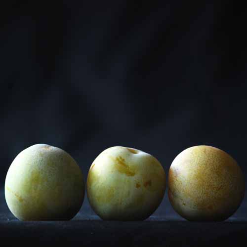 Reine Claude de Moissac