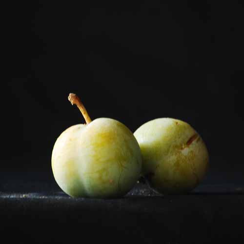 Reine Claude de Vars