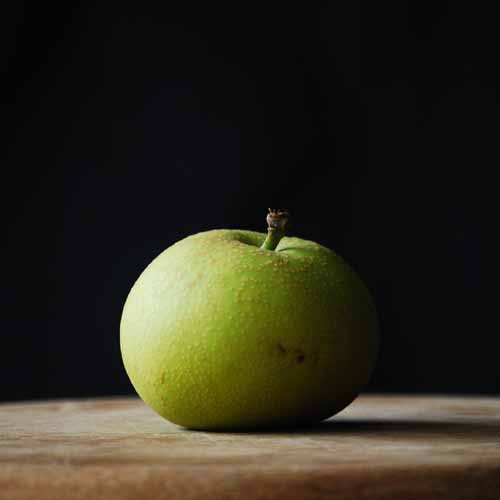 Shinseki Asian Pear
