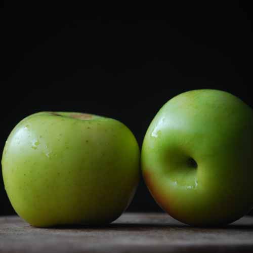 Sisson's Worksop Newtown