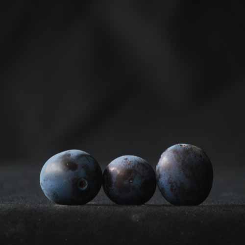 Small Black Bullace