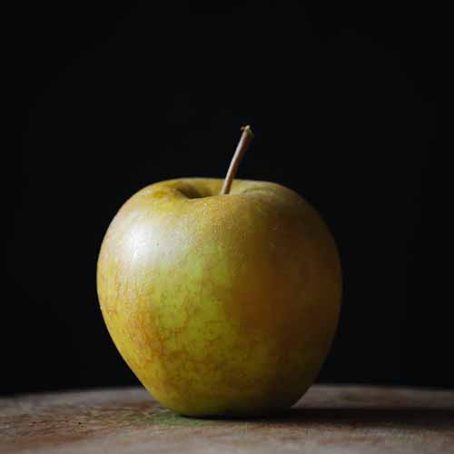 Starkspur Golden Delicious