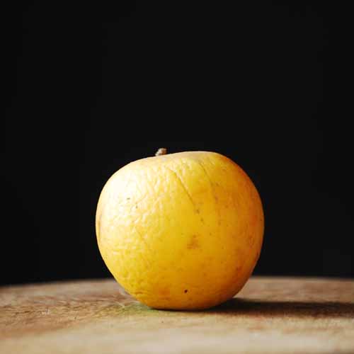 Summer Golden Pippin