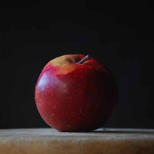 Tickled Pink Baya® Marisa