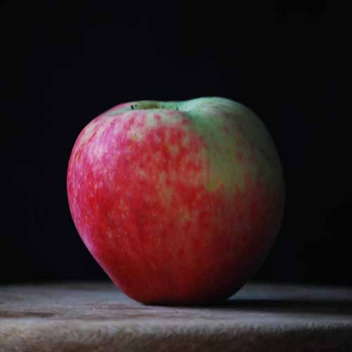 Tydeman's Early Worcester