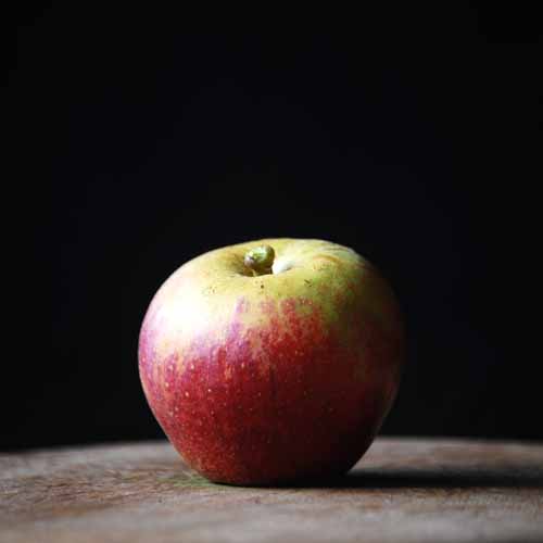 Tydeman's Late Orange