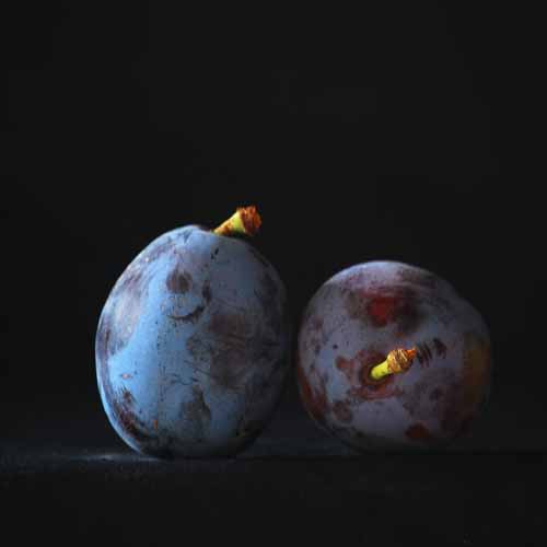 Wangenheims Fruhzwetsche